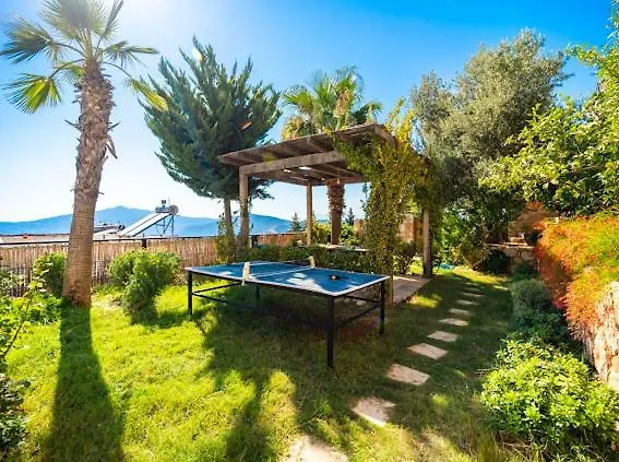 Honeymoon With Sea View كاس